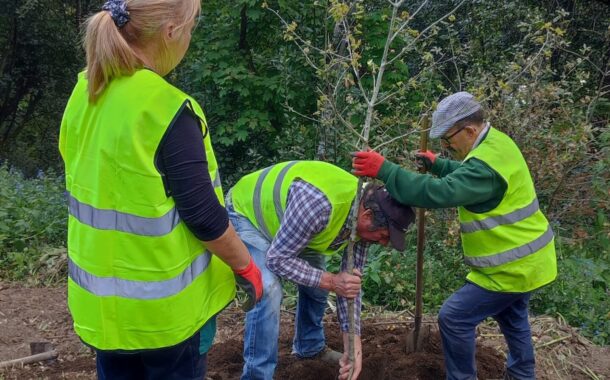 Bom Jesus de Braga comemora Dia Mundial da Árvore com plantação de espécies autóctones