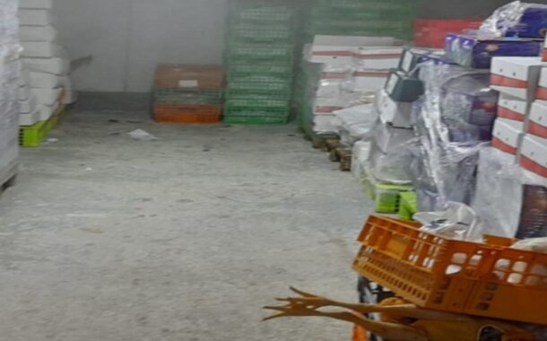 ASAE apreende 25,5 toneladas de carne e peixe em Braga e Famalicão