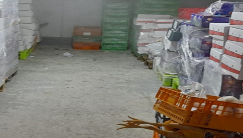 ASAE apreende 25,5 toneladas de carne e peixe em Braga e Famalicão