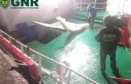GNR apreende 25 toneladas de espadarte em Viana do Castelo
