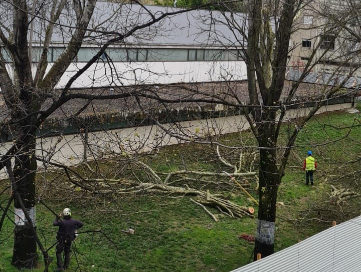Providência cautelar suspende requalificação do Pavilhão das Goladas em Braga