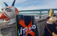 Movimentos da região de Entre Douro e Minho unidos contra exploração de lítio
