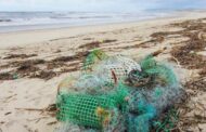 Ensaios de redes biodegradáveis realizados em Esposende revelam “resultados promissores”