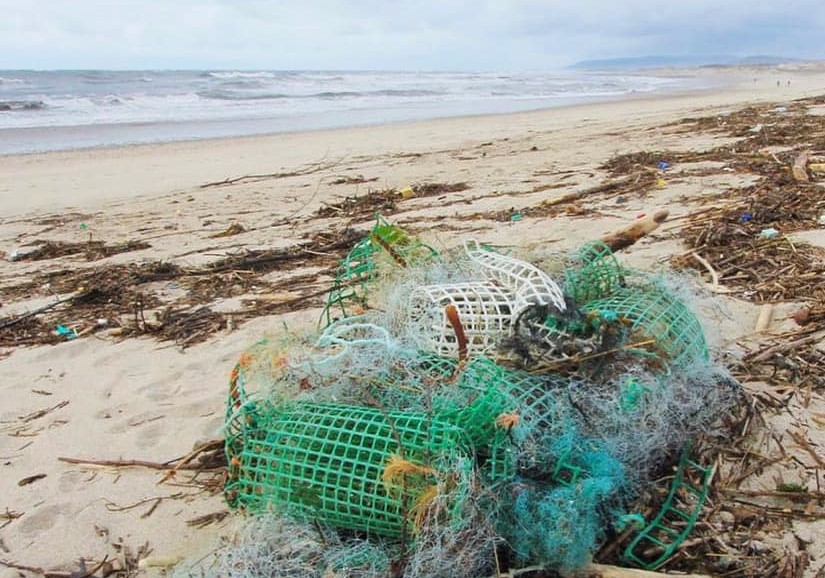 Ensaios de redes biodegradáveis realizados em Esposende revelam “resultados promissores”