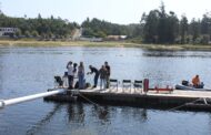 Esposende mostra naufrágio quinhentista de Belinho em workshop internacional de arqueologia fluvial
