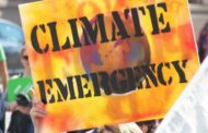 Rebelião Climática quer juntar forças com movimentos sociais de Braga