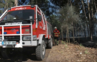 Esposende aprova Plano Operacional de prevenção de incêndios rurais