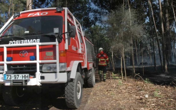 Esposende aprova Plano Operacional de prevenção de incêndios rurais