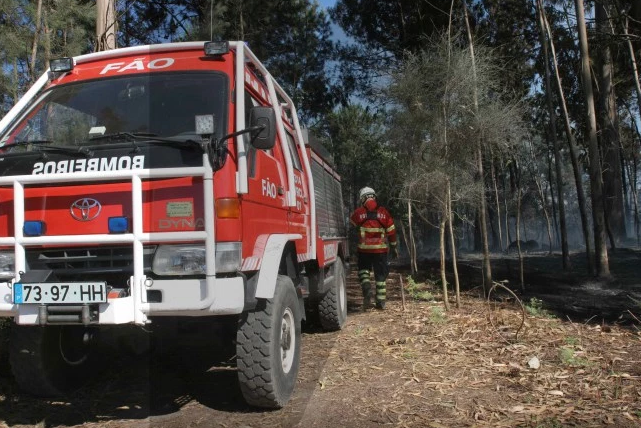 Esposende aprova Plano Operacional de prevenção de incêndios rurais