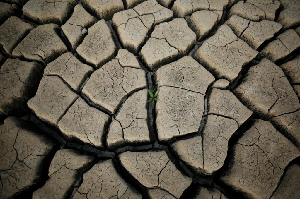 Braga e Viana do Castelo em seca severa e sem “notícias animadoras”