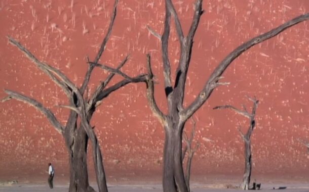 Bloco leva roteiro ‘Justiça Climática’ a Viana do Castelo e Braga