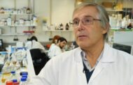Cientista da UMinho nega em Tribunal ser protagonista de fraude com verbas comunitárias