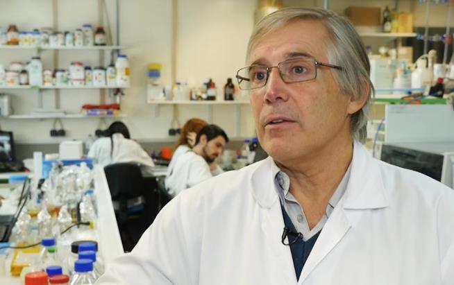 Cientista da UMinho nega em Tribunal ser protagonista de fraude com verbas comunitárias