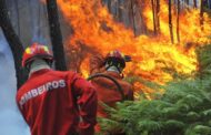 Dois bombeiros de Caneças detidos pela PJ por atearem fogos