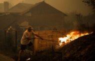 Incêndios. Mais de 50 detidos este ano pelo crime de fogo florestal
