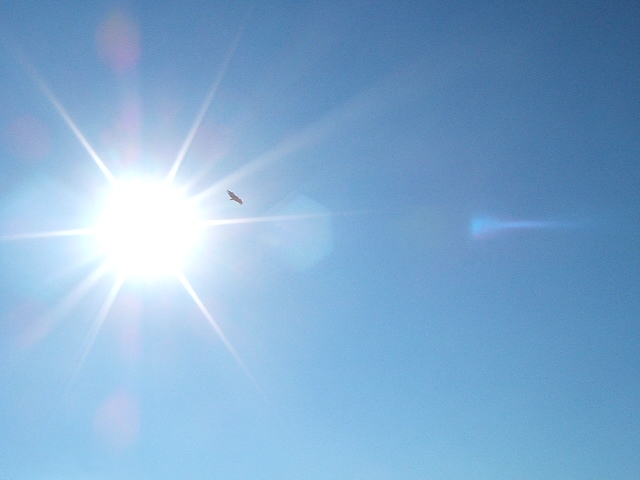 Temperatura sobe para os 28 em Viana e chega aos 34.ºC em Braga na quarta-feira