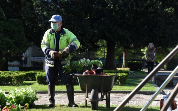 PAN desafia juntas de Famalicão a banirem a aplicação de herbicidas em jardins
