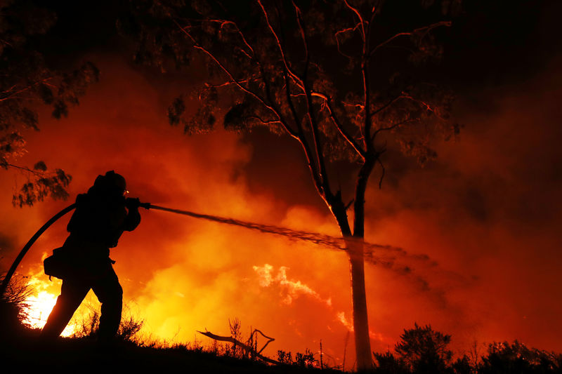 Detido desempregado suspeito de 16 incêndios em Ponte de Lima