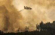 Incêndios. Quase 190 feridos e 865 pessoas retiradas das casas numa semana