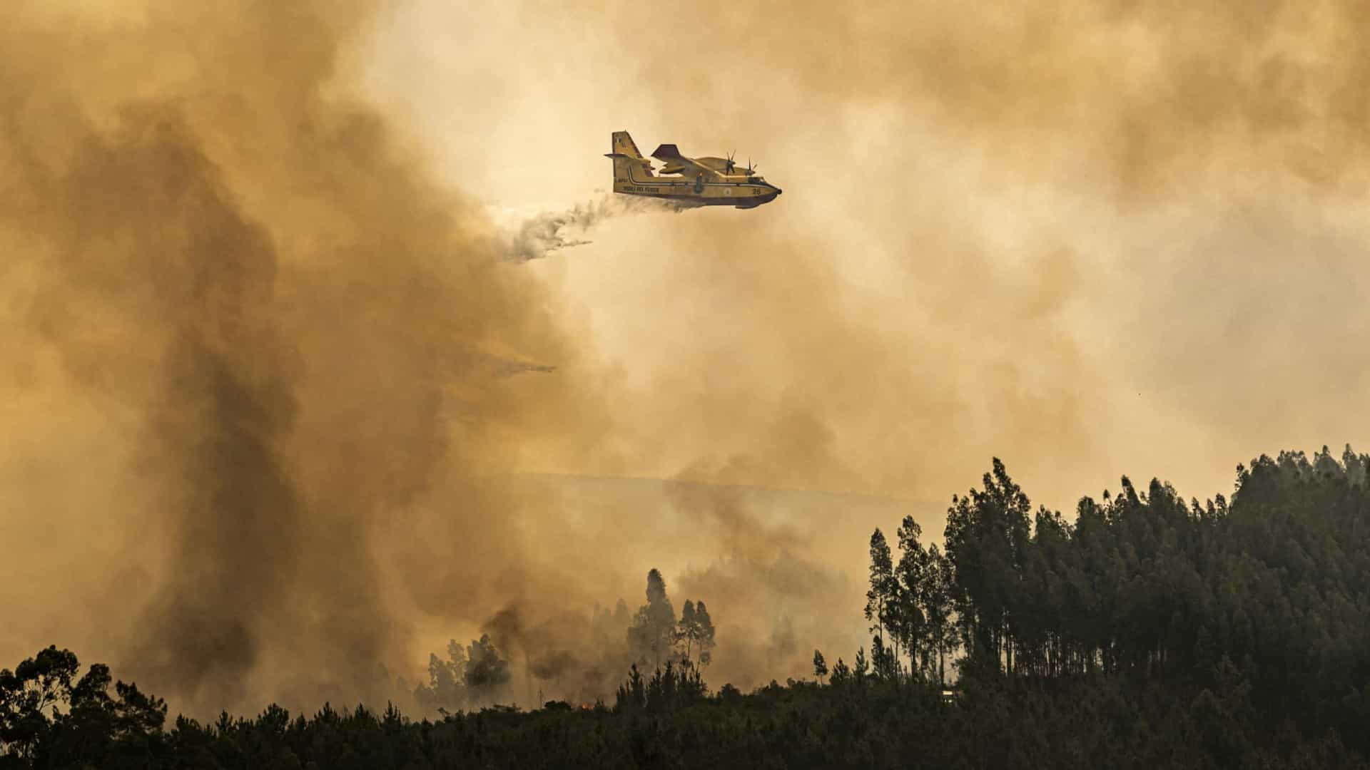 Incêndios. Quase 190 feridos e 865 pessoas retiradas das casas numa semana