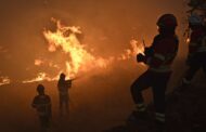 Já foram detidos 119 suspeitos de crime de incêndio florestal este ano