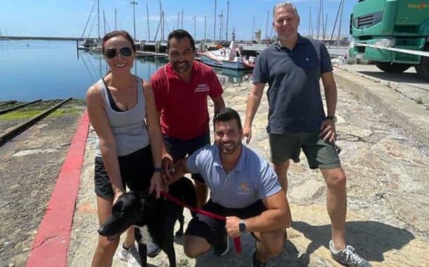 Autoridade Marítima resgata cadela Sherry a 800 metros da costa na Póvoa de Varzim