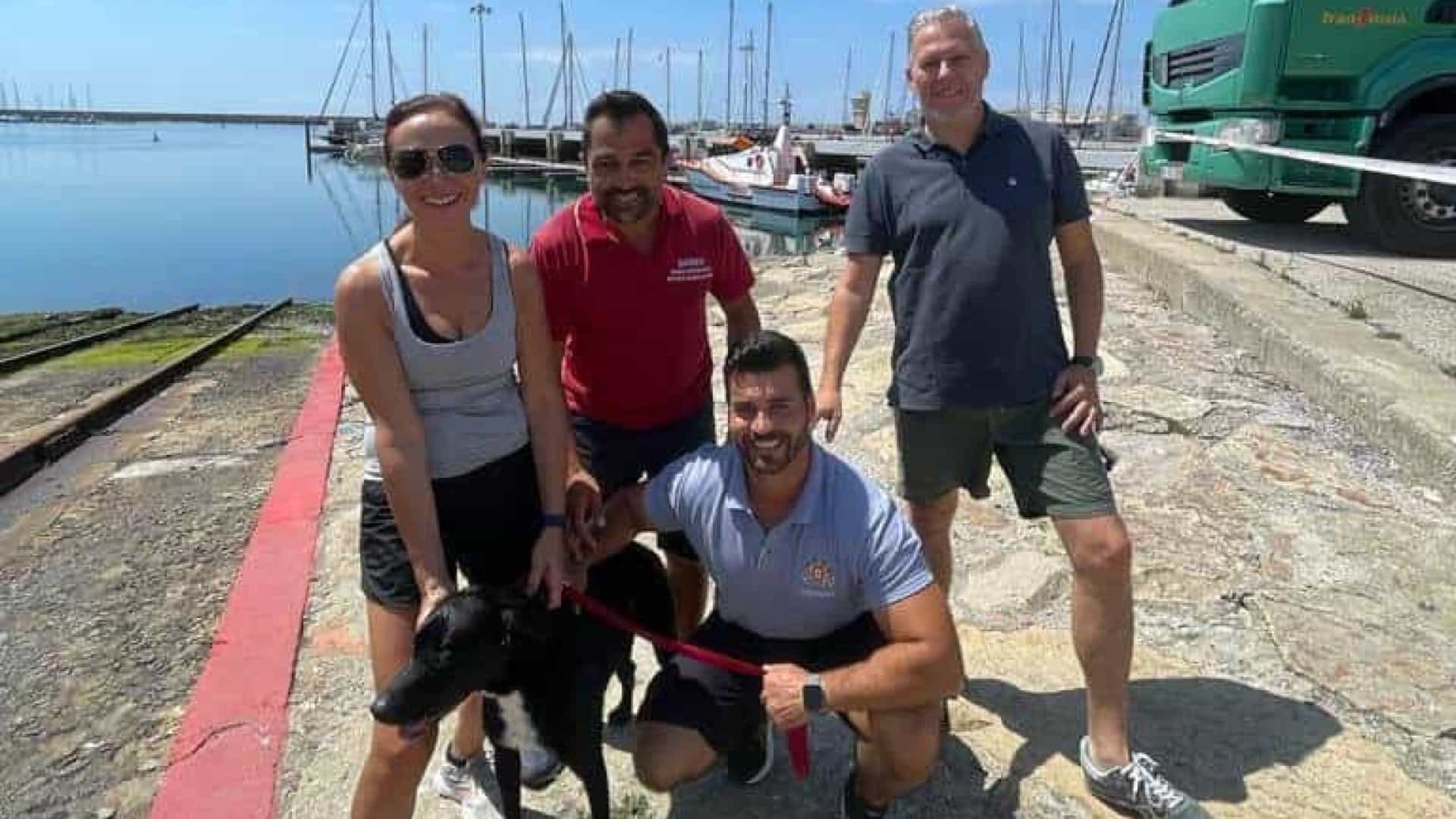 Autoridade Marítima resgata cadela Sherry a 800 metros da costa na Póvoa de Varzim