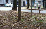 Vêm aí um Outono mais quente e seco que o normal