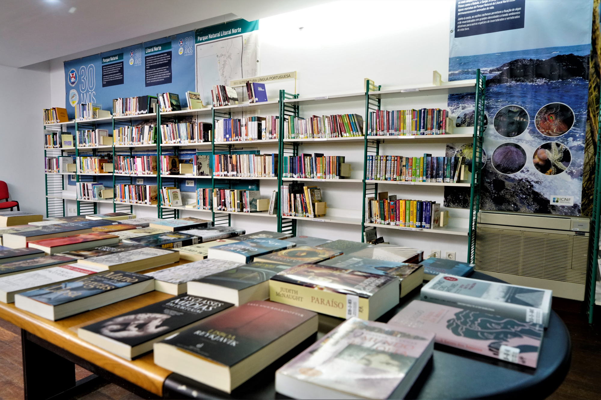 Bibliotecas do Cávado com acesso gratuito a mais de 7.000 publicações online
