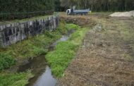 Guimarães avança com intervenções de mais de 60 quilómetros para a Ecovia nas zonas ribeirinhas