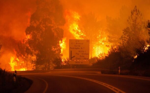 Absolvidos todos os 11 arguidos no processo dos incêndios de Pedrógão Grande