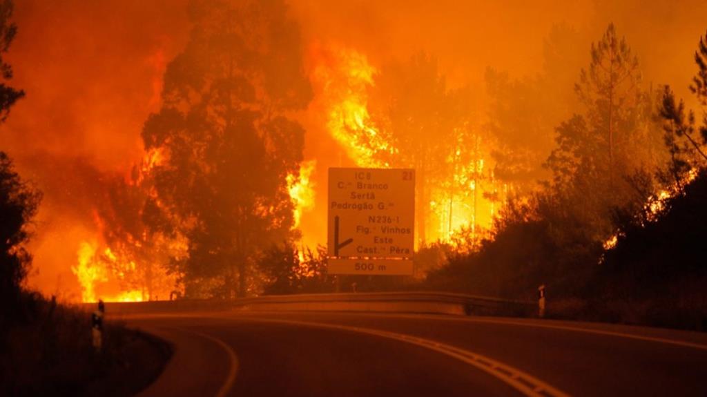 Absolvidos todos os 11 arguidos no processo dos incêndios de Pedrógão Grande