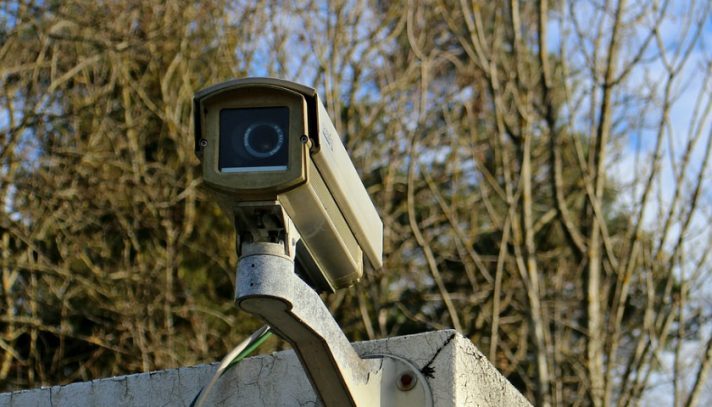 Floresta da região do Cávado com cobertura de videovigilância de quase 70%