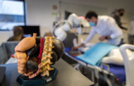 De Barcelos para o Mundo, IPCA desenvolve projecto para aumentar a eficiência do tratamento do cancro da mama