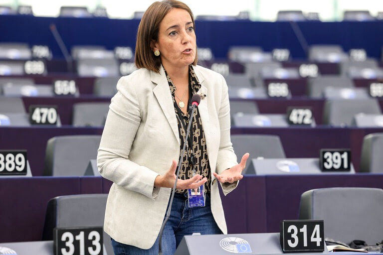 “Mundo rural não pode ser uma moda que desapareça” da agenda UE, diz Isabel Carvalhais