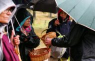 Melgaço convida a conhecer cogumelos de Castro Laboreiro
