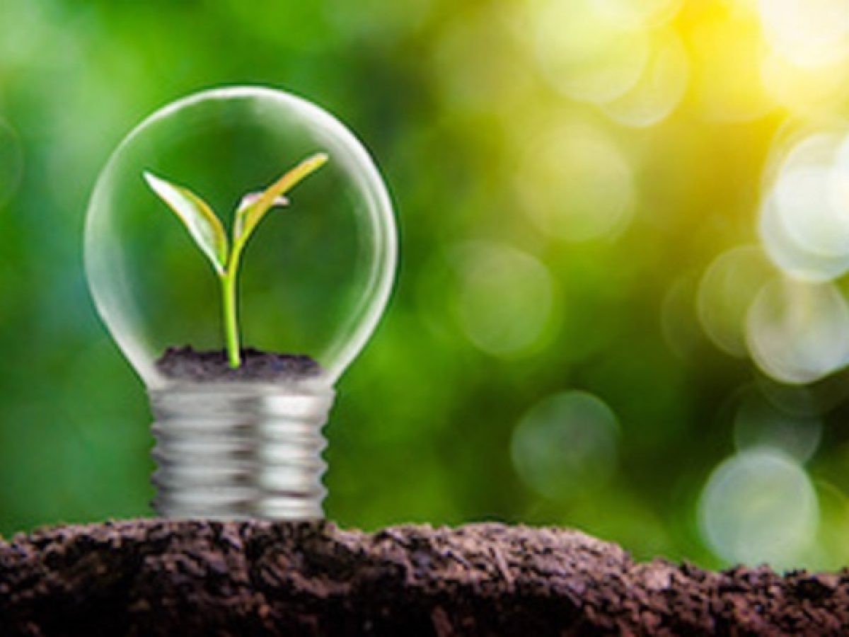 Braga e Guimarães líderes na acção climática