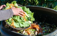 Arcos de Valdevez arranca com projecto para recolha de restos alimentares