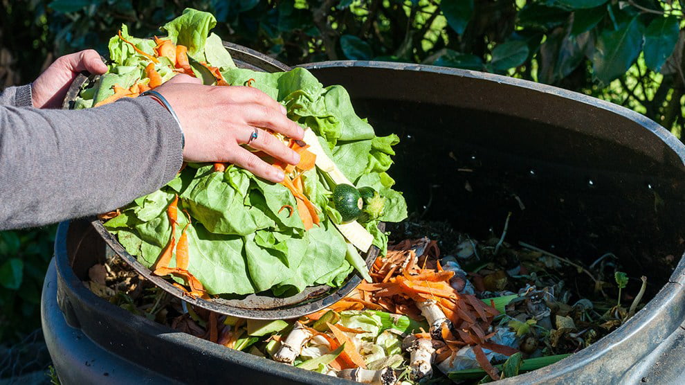 Arcos de Valdevez arranca com projecto para recolha de restos alimentares