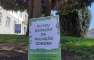 CDU acusa Câmara de Fafe de comemorar Dia da Árvore com abates no jardim do tribunal