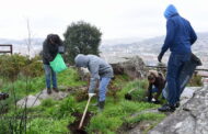 ‘Oxigenar Braga’ regressa entre os dias 20 e 26