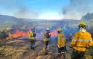 Acções de fogo controlado para prevenir incêndios e renovar pastagens em Viana do Castelo