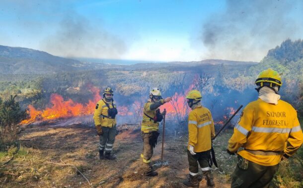 Acções de fogo controlado para prevenir incêndios e renovar pastagens em Viana do Castelo
