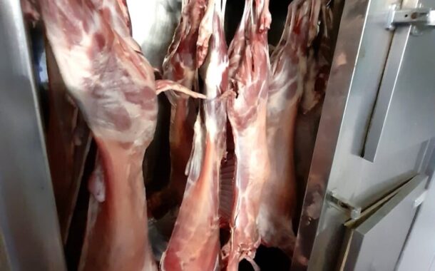 ASAE apreende 15 carcaças de borrego no Norte do país