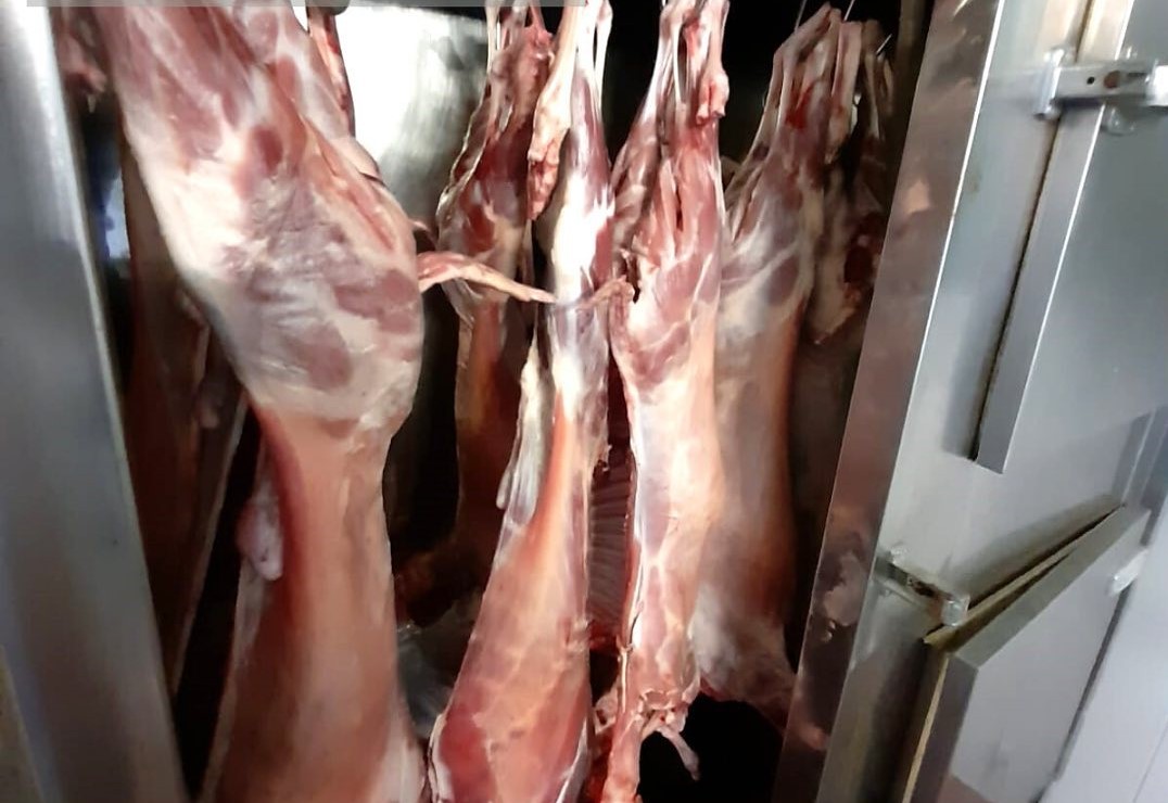 ASAE apreende 15 carcaças de borrego no Norte do país