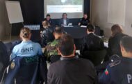 Braga aprova estratégia de prevenção e combate dos incêndios florestais