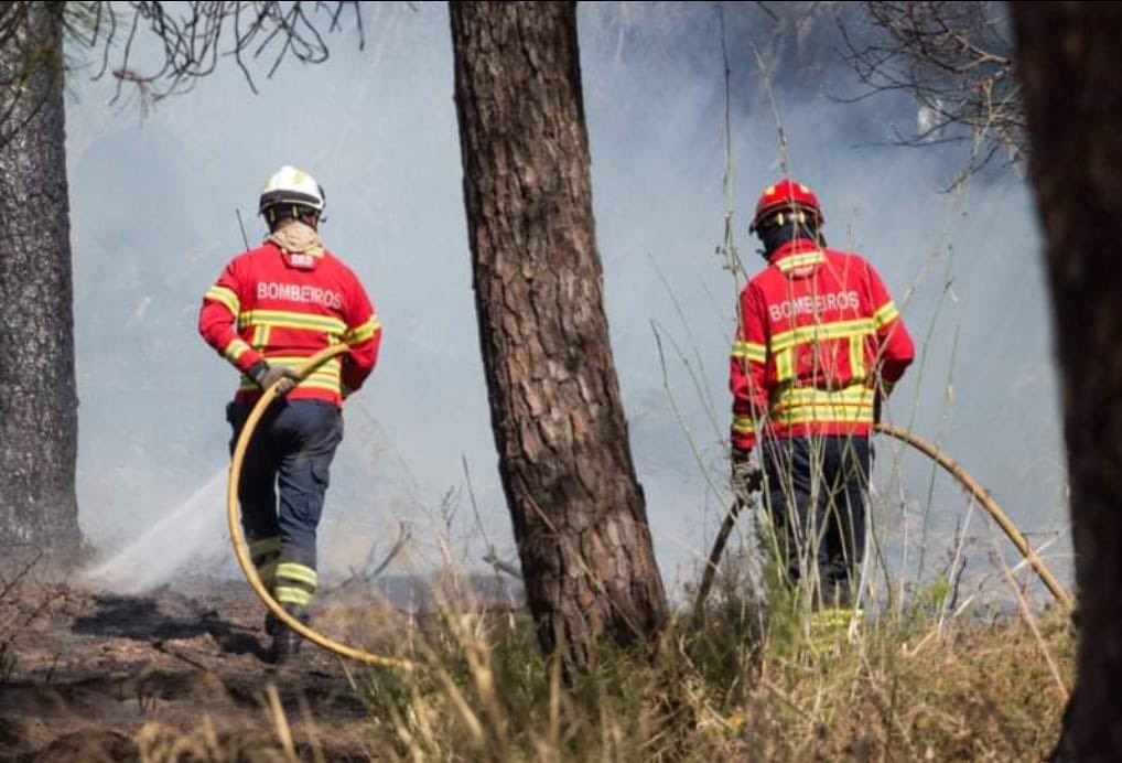 Esposende define estratégia de protecção do território aos incêndios rurais