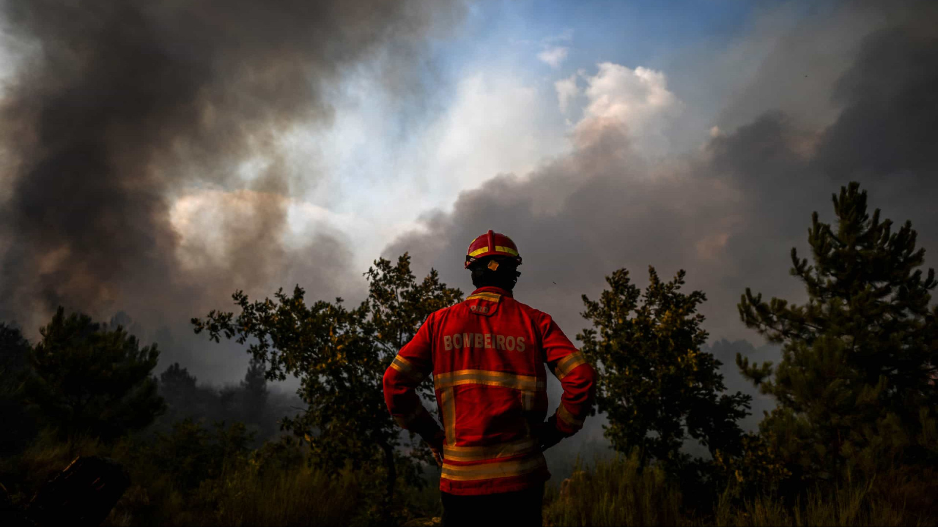 Risco de incêndio (também no Norte). Protecção Civil emite aviso à população