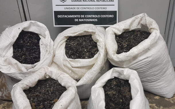 Apreendidos 155 kg de mexilhão pequeno capturado ilegalmente em Caminha