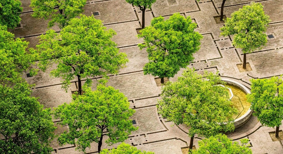 Portugal é o país com maior número de regiões na missão de Adaptação às Alterações Climáticas da UE
